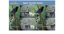 Desktop Screenshot of desystem.com.tw