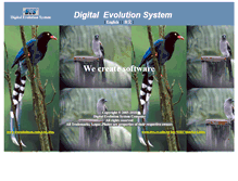 Tablet Screenshot of desystem.com.tw